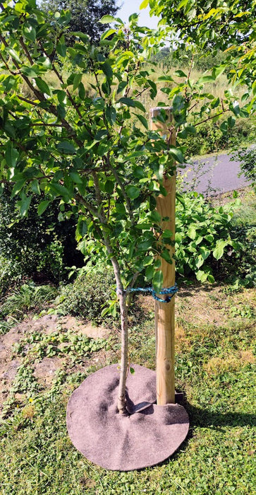 Mulchscheiben aus 100 % deutscher Wolle.