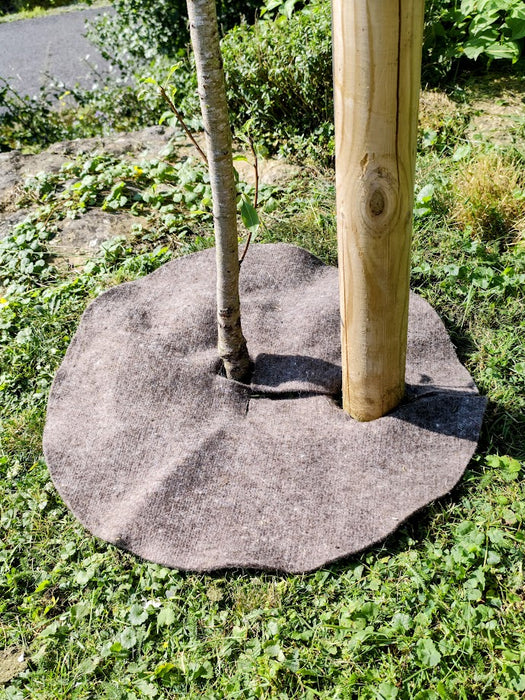 Mulchscheiben aus 100 % deutscher Wolle.