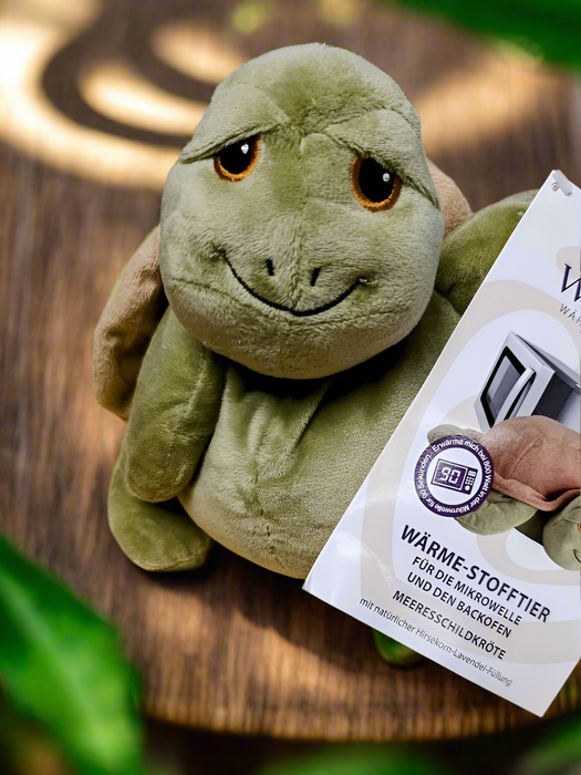 Kuschlige Schildkröte