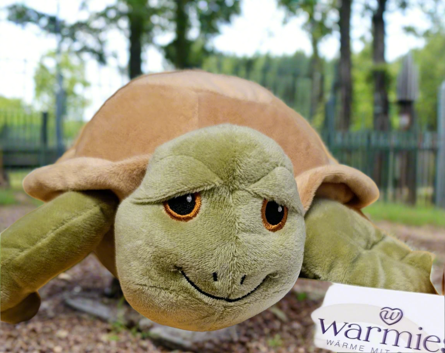 Kuschlige Schildkröte